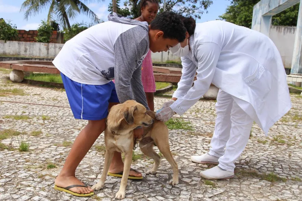 Campanha de vacinação antirrábica chega a mais cinco bairros de Lauro de Freitas neste sábado (31); confira