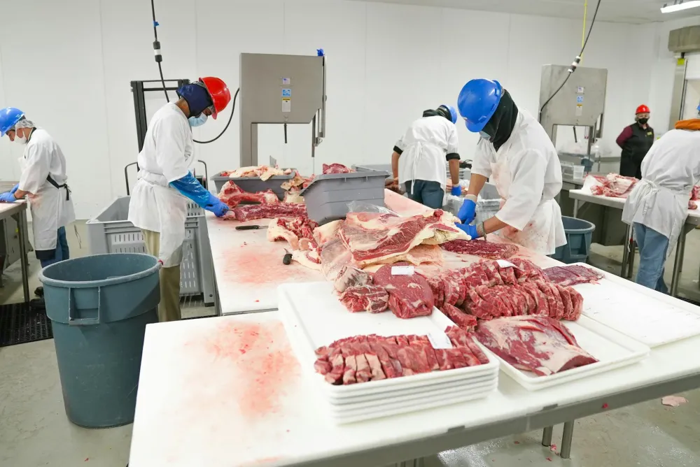 Oportunidades de Emprego: Vagas Disponíveis no SineBahia para esta quinta-feira (12)