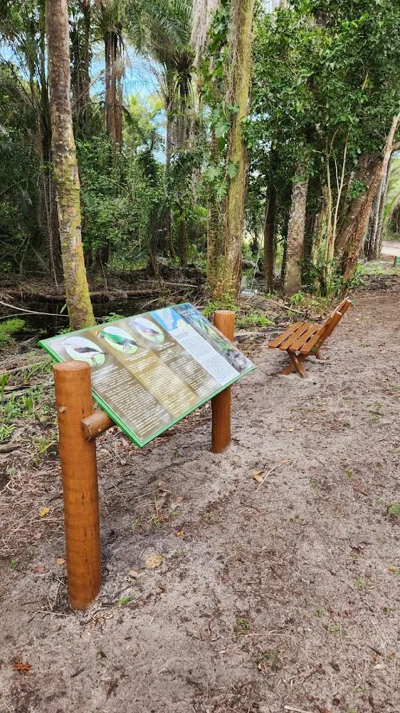 Caminhada ecológica vai inaugurar trilha Encantamento das Aves em Busca Vida, neste sábado, dia 21 de setembro