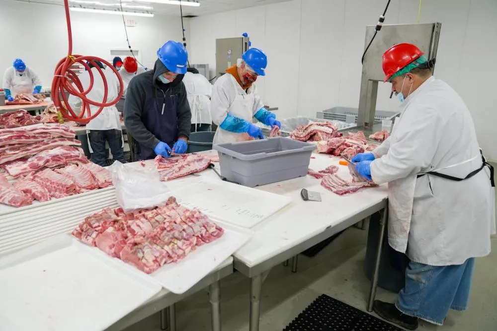 Oportunidades de Emprego: Vagas do SineBahia para esta terça-feira (12)